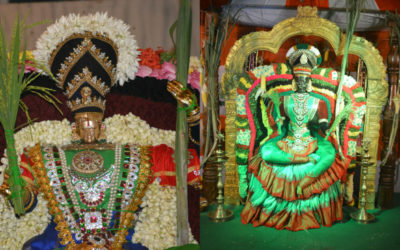 Sarannavarathrulu Day  5 – Dhaanya Lakshmi