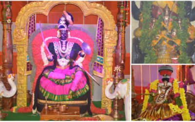 Sarannavarathrulu – Veera Lakshmi