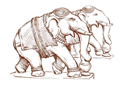 Elephants