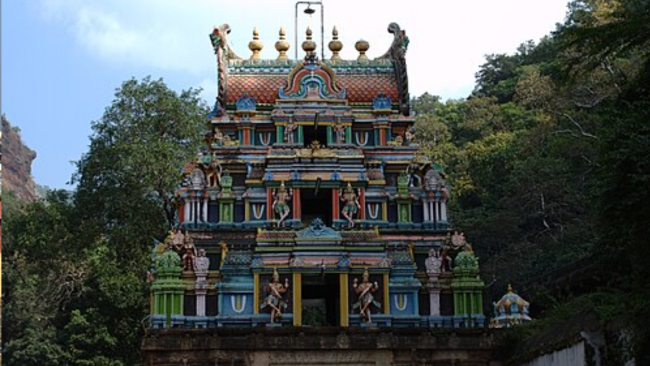 Sri Nava Narasimhar Temple